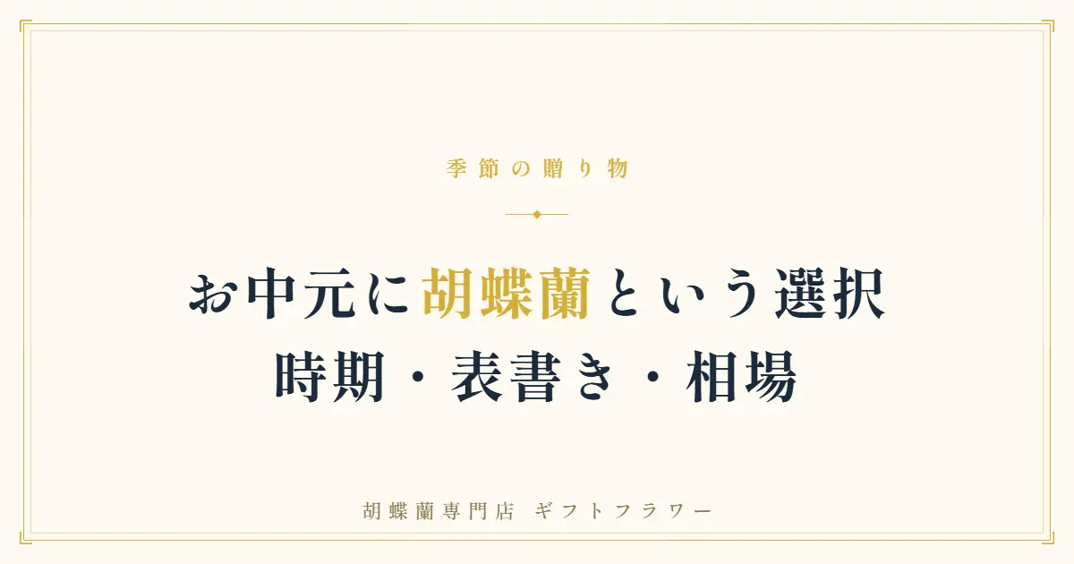お中元に贈る白の大輪胡蝶蘭3本立ち