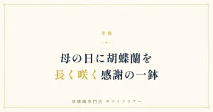 母の日のリビングに飾られたピンクの胡蝶蘭3本立ち