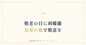 敬老の日に床の間へ飾られた紫の胡蝶蘭3本立ち