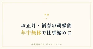 新春の床の間に飾られた紅白の白赤リップ胡蝶蘭