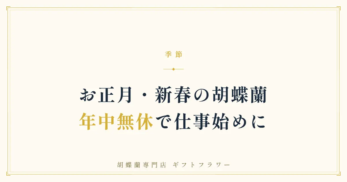 新春の床の間に飾られた紅白の白赤リップ胡蝶蘭