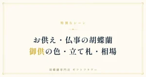 お供えの祭壇に届いた御供の白い大輪胡蝶蘭3本立ち