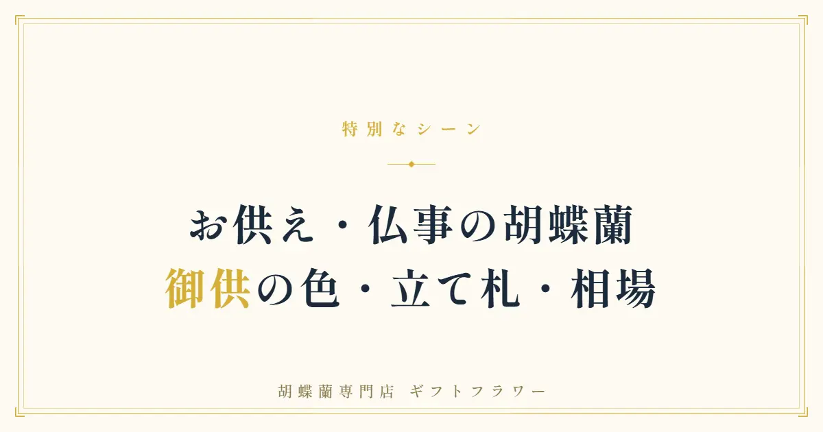 お供えの祭壇に届いた御供の白い大輪胡蝶蘭3本立ち