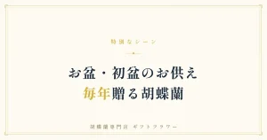 お盆の盆棚のそばに供えられた白い胡蝶蘭3本立ち