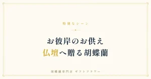 お彼岸に自宅の仏壇のそばへ供えた白い胡蝶蘭3本立ち