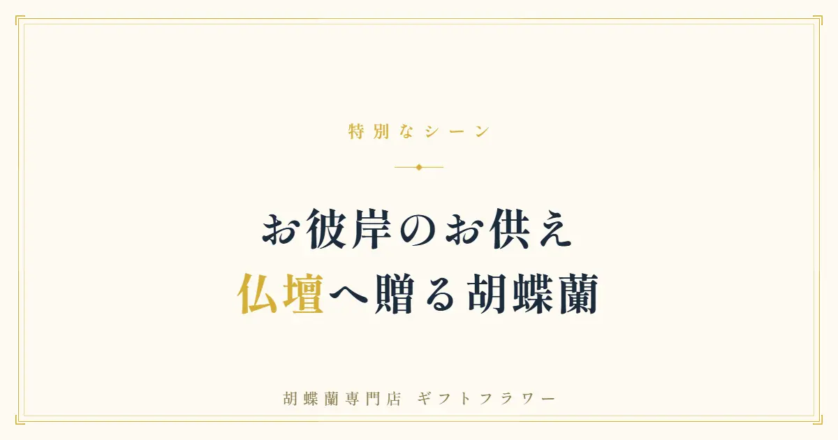 お彼岸に自宅の仏壇のそばへ供えた白い胡蝶蘭3本立ち