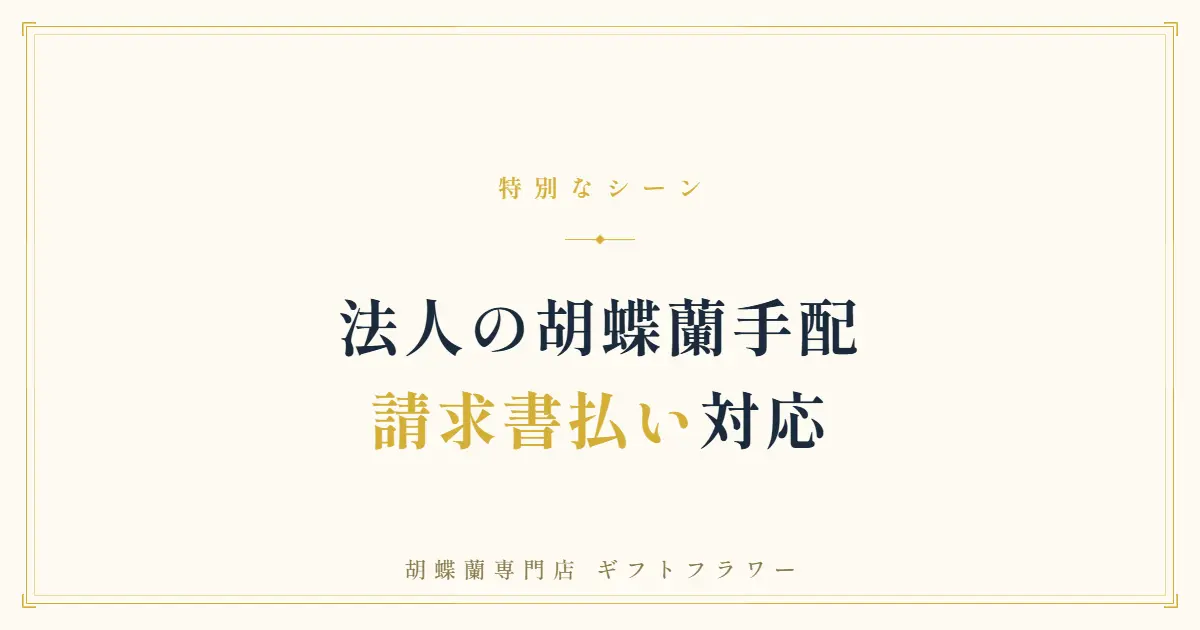 法人の胡蝶蘭手配を解説するタイトルバナー