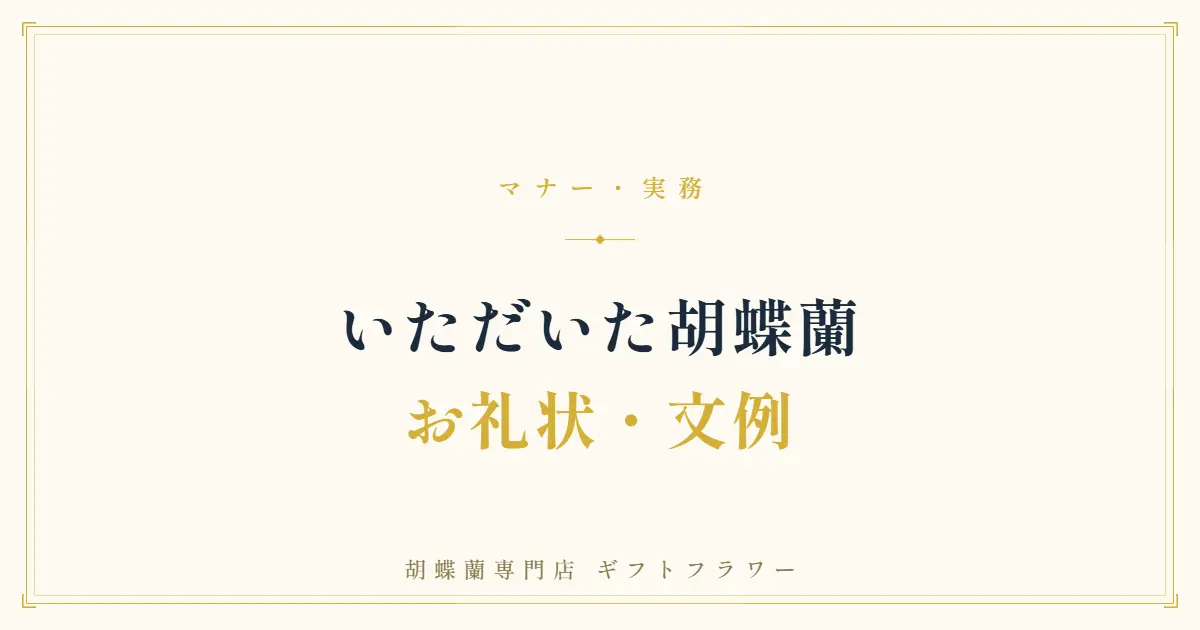 胡蝶蘭のお礼状・お礼メール文例を解説するタイトルバナー