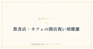 飲食店の開店祝い胡蝶蘭を解説するタイトルバナー