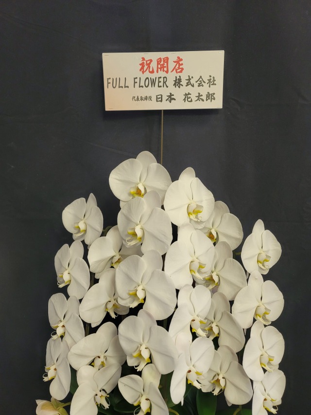 紙札 英字横書き