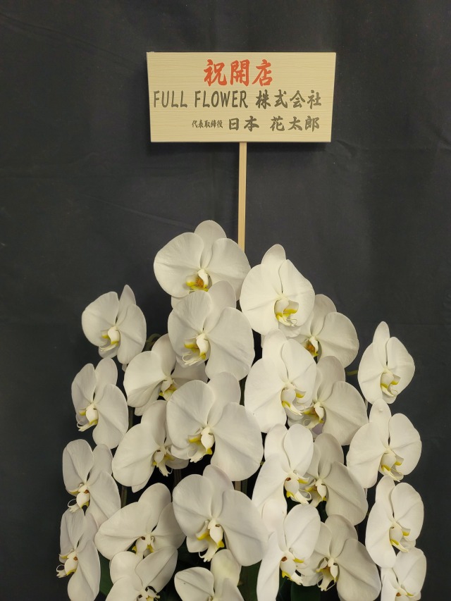 木札 英字横書き