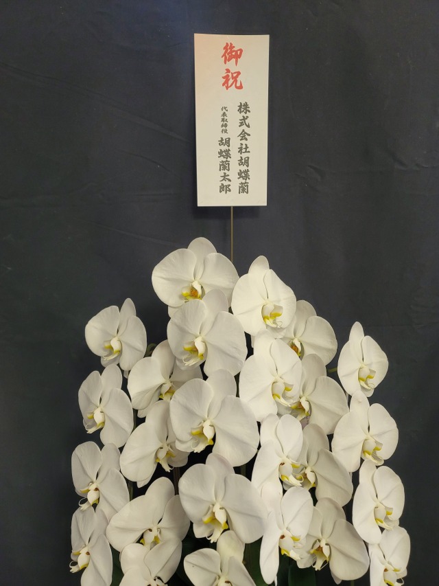 紙札 贈り主のみ